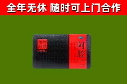 蒲江回收阿胶